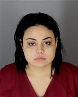 SARAH MOHAMMAD HUSEIN Mugshot / Oakland County MI Arrests / Oakland County Michigan Arrests