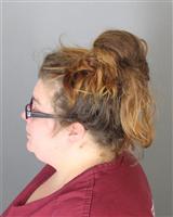 THERESA JANELEEANN STEPHENS Mugshot / Oakland County MI Arrests / Oakland County Michigan Arrests