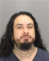 PAUL GREGORY DELGADO Mugshot / Oakland County MI Arrests / Oakland County Michigan Arrests