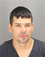 MATTHEW CLAUDE TAYLOR Photo / MATTHEW CLAUDE TAYLOR Images