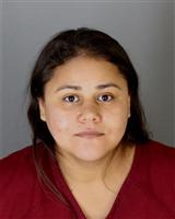 DELFINA DC SAGREROSANCHEZ Mugshot / Oakland County MI Arrests / Oakland County Michigan Arrests