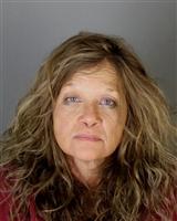 JANE MARIE BREWER Mugshot / Oakland County MI Arrests / Oakland County Michigan Arrests