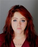 KRISTINA ASHLEY KING Mugshot / Oakland County MI Arrests / Oakland County Michigan Arrests