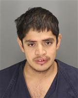 ADRIAN MORA REYES Mugshot / Oakland County MI Arrests / Oakland County Michigan Arrests