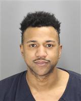 DANIEL ISRAELI TYSONANTHONY Mugshot / Oakland County MI Arrests / Oakland County Michigan Arrests