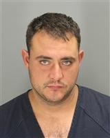 RYAN DANIEL OGG Mugshot / Oakland County MI Arrests / Oakland County Michigan Arrests