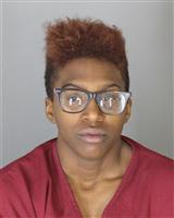 AYESHA CLOEELISE WILSON Mugshot / Oakland County MI Arrests / Oakland County Michigan Arrests