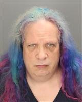 JAY ANTHONY SWENDRIS Mugshot / Oakland County MI Arrests / Oakland County Michigan Arrests