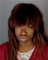 REBEKAH MARIE ANDERSON Mugshot / Oakland County MI Arrests / Oakland County Michigan Arrests