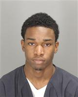 DEZMON RAYKIEL FAYNE Photo / DEZMON RAYKIEL FAYNE Images