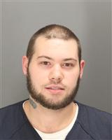 SEAN MATTHEW SITKO Mugshot / Oakland County MI Arrests / Oakland County Michigan Arrests
