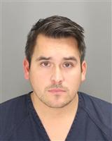 TYLER JAMES LARA Mugshot / Oakland County MI Arrests / Oakland County Michigan Arrests