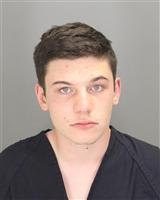 GAGE DANIEL DUMITY Mugshot / Oakland County MI Arrests / Oakland County Michigan Arrests