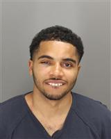 JULIAN LEO GUERINGER Mugshot / Oakland County MI Arrests / Oakland County Michigan Arrests