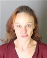 HEIDI SUE WAKEFIELD Mugshot / Oakland County MI Arrests / Oakland County Michigan Arrests