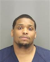 CHRISTOPHER BRAD MARTIN Mugshot / Oakland County MI Arrests / Oakland County Michigan Arrests