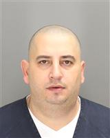 RANY S SELIM Mugshot / Oakland County MI Arrests / Oakland County Michigan Arrests