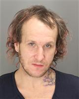 BRIAN MICHAEL BALL Mugshot / Oakland County MI Arrests / Oakland County Michigan Arrests