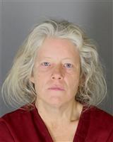 CARRIE CAROL GEYER Mugshot / Oakland County MI Arrests / Oakland County Michigan Arrests