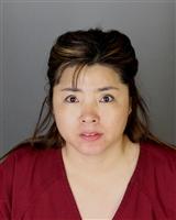 FENGJUAN  YAN Mugshot / Oakland County MI Arrests / Oakland County Michigan Arrests