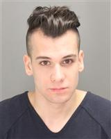 ZACHARY AUSTIN ATKINSON Mugshot / Oakland County MI Arrests / Oakland County Michigan Arrests