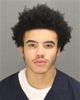 MARK ANTHONYFRANCIS THOMPSON Photo / MARK ANTHONYFRANCIS THOMPSON Images