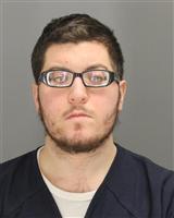 RAMY AHMAD KASSEM Mugshot / Oakland County MI Arrests / Oakland County Michigan Arrests