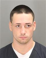 BRANDON MICHAEL JARDON Mugshot / Oakland County MI Arrests / Oakland County Michigan Arrests