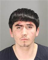 PEDRO MARTIN HERNANDEZ Mugshot / Oakland County MI Arrests / Oakland County Michigan Arrests
