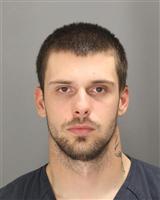 JACOB LEE ROARK Mugshot / Oakland County MI Arrests / Oakland County Michigan Arrests