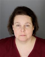 WENDY ELIZABETH JARVIS Mugshot / Oakland County MI Arrests / Oakland County Michigan Arrests