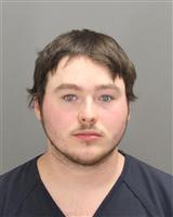 ANTHONY THOMAS SEDROWSKI Mugshot / Oakland County MI Arrests / Oakland County Michigan Arrests