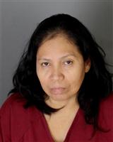 ILSE SARAI PEREZDIAZ Photo / ILSE SARAI PEREZDIAZ Images