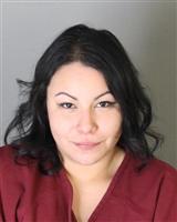 ELENA ANDREA CASTRO Mugshot / Oakland County MI Arrests / Oakland County Michigan Arrests
