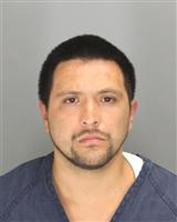 ANGEL  FLORES Mugshot / Oakland County MI Arrests / Oakland County Michigan Arrests