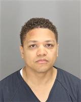 MICHAEL A PALMER Mugshot / Oakland County MI Arrests / Oakland County Michigan Arrests