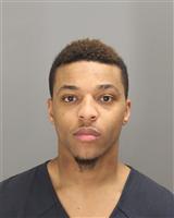 NICHOLAS SYVANNUS WEBSTER Mugshot / Oakland County MI Arrests / Oakland County Michigan Arrests