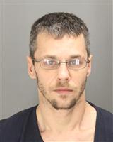 ANTHONY WAYNE NATLE Mugshot / Oakland County MI Arrests / Oakland County Michigan Arrests
