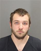 AARON MICHAEL WOOD Mugshot / Oakland County MI Arrests / Oakland County Michigan Arrests