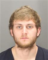 SHANE RYAN SZELIGA Photo / SHANE RYAN SZELIGA Images