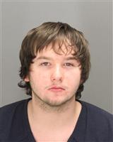 MICHAEL JAMES ADAM Mugshot / Oakland County MI Arrests / Oakland County Michigan Arrests