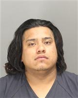 MIGUEL ANGEL ACATETEPA Mugshot / Oakland County MI Arrests / Oakland County Michigan Arrests