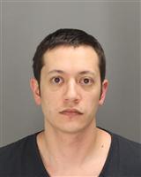 ANDREW JAMES SNOWDEN Mugshot / Oakland County MI Arrests / Oakland County Michigan Arrests