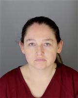 KYLE SEAN STAPISH Mugshot / Oakland County MI Arrests / Oakland County Michigan Arrests