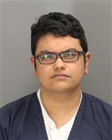 MIKAEEL  BOOMGAARD Photo / MIKAEEL  BOOMGAARD Images