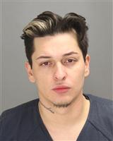 RICARDO THOMAS SERRATA Mugshot / Oakland County MI Arrests / Oakland County Michigan Arrests