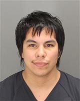 CHRISTOPHER JOSEPH MARTINEZ Mugshot / Oakland County MI Arrests / Oakland County Michigan Arrests