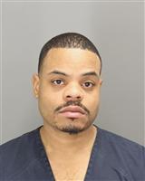 TIMOTHY ADAMRYAN DANIEL Photo / TIMOTHY ADAMRYAN DANIEL Images