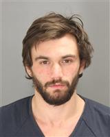 ALEXANDER JAMES HARE Mugshot / Oakland County MI Arrests / Oakland County Michigan Arrests