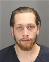 JOSHUA JOHN NELSON Mugshot / Oakland County MI Arrests / Oakland County Michigan Arrests